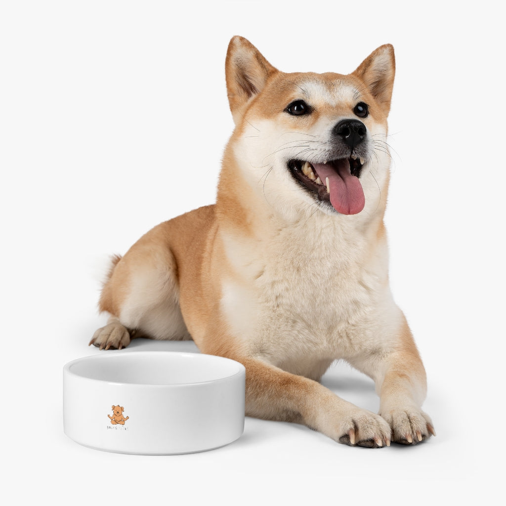Petite Paws & Reflect Pet Bowl